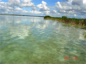 Bonefish in Andros
